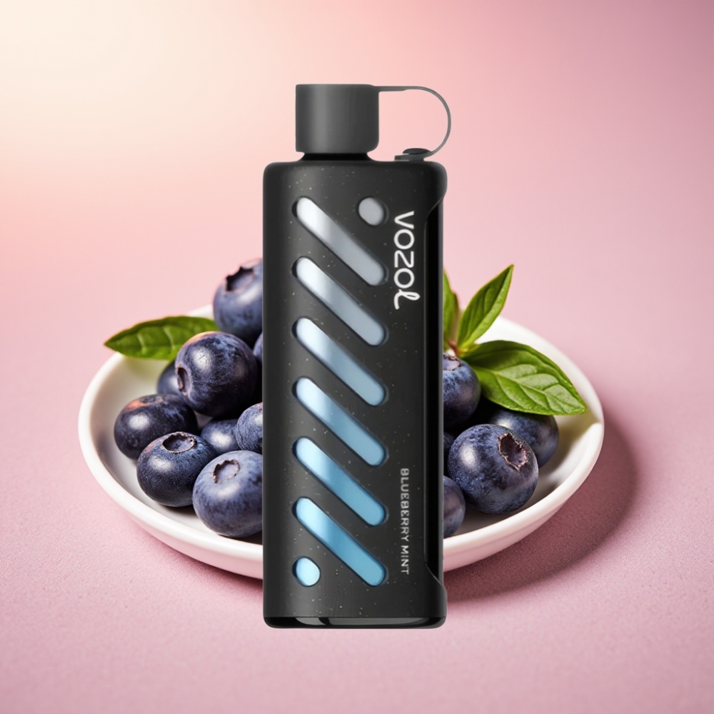 VOZOL Gear Shisha 25000 Puffs טכנולוגיית S.i.L.C טעם מנטה אוכמניות