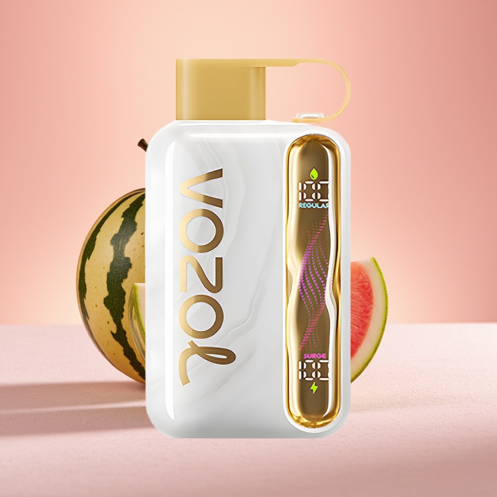 VOZOL STAR 40000 מלון קרח Disposable Vape 1000mAh Type-C